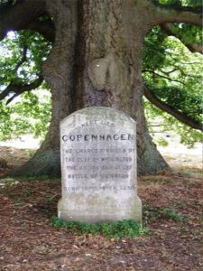 Copenhagen's grave